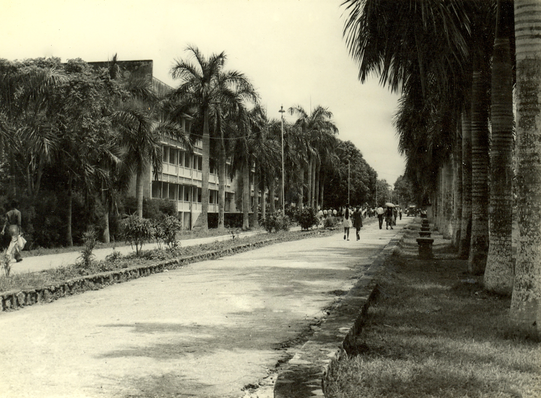 Old Pictures of University of Sri Jayawardenepura Internal Roadway